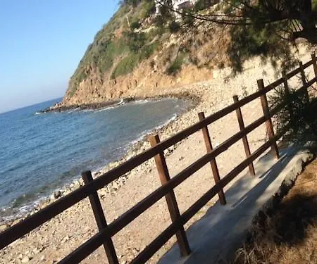 Nitu Villa *