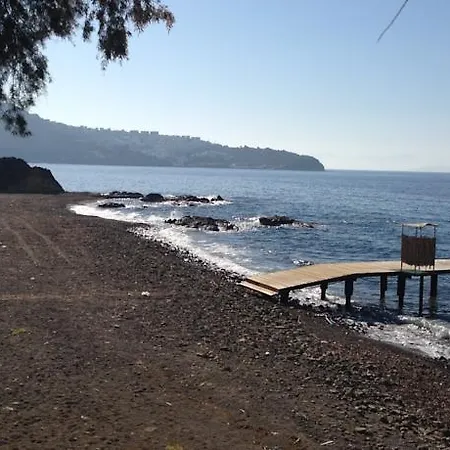 Nitu Yalıkavak